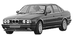 BMW E34 B217D Fault Code